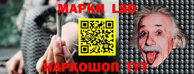 индика Донецк